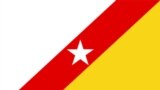Bandeira da FNLA