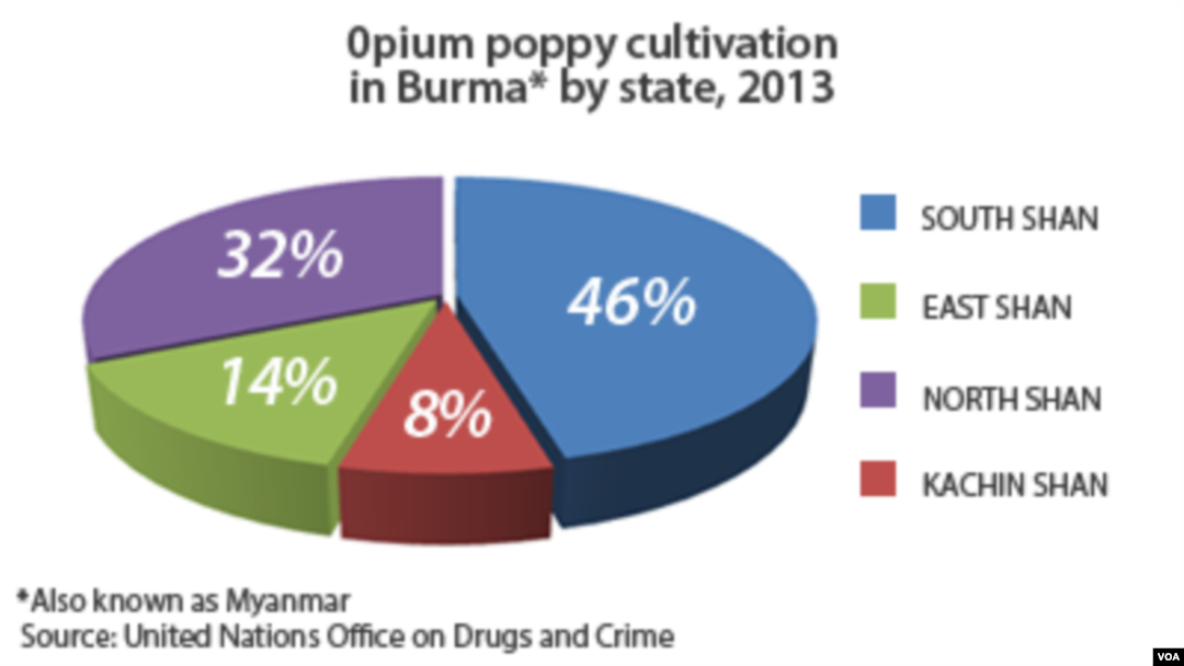 Opium production in Burma by state, 2013