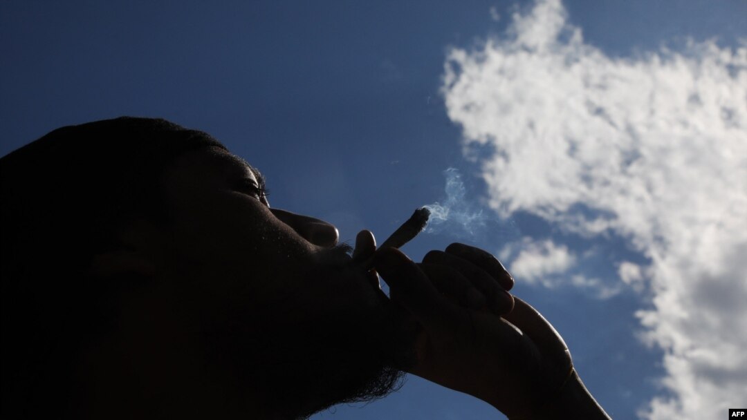 一位人士在紐約市華盛頓廣場公園420國際大麻日慶祝活動中抽大麻。 (2024年4月20日)