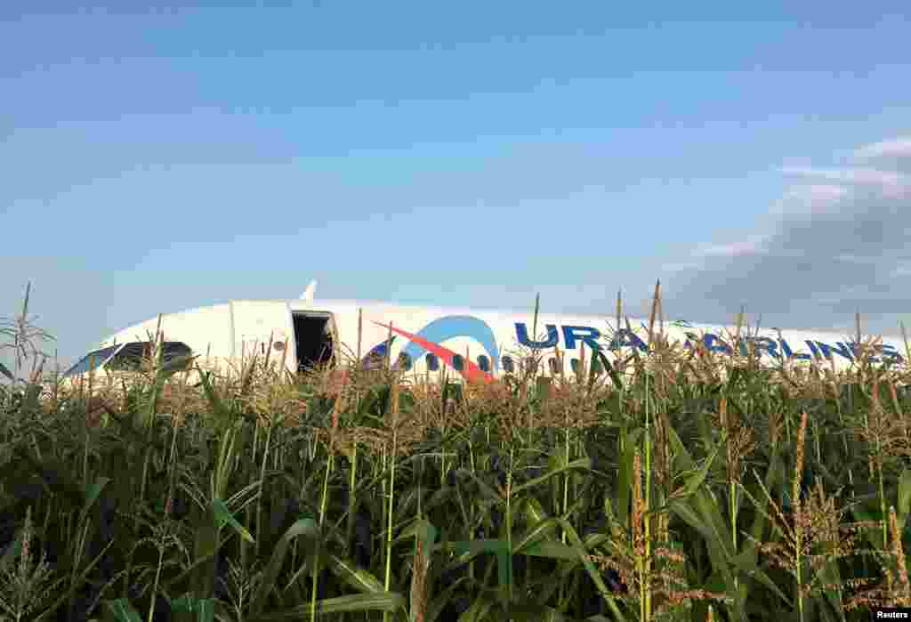 A view shows the Ural Airlines Airbus 321 passenger plane following an emergency landing in a field near Zhukovsky International Airport in Moscow Region, Russia.