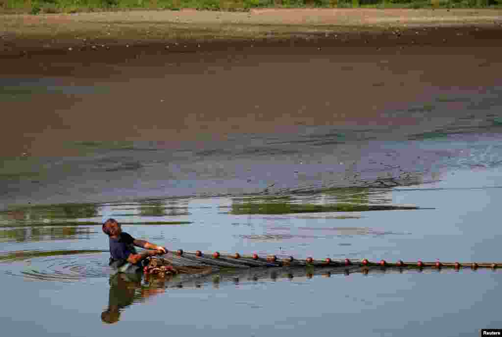 A fish farmer rescues fishes from the almost-dried up Landes pond in Lussat, central France, as the hot weather prolongs drought conditions in the country.
