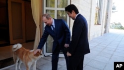 俄羅斯總統普京2月8日在索契會晤日本首相安倍晉三時輕拍他的愛犬（2014年8月2日）