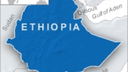 ክሥና መልስ በሶማሌ ክልል መንግሥት ላይ