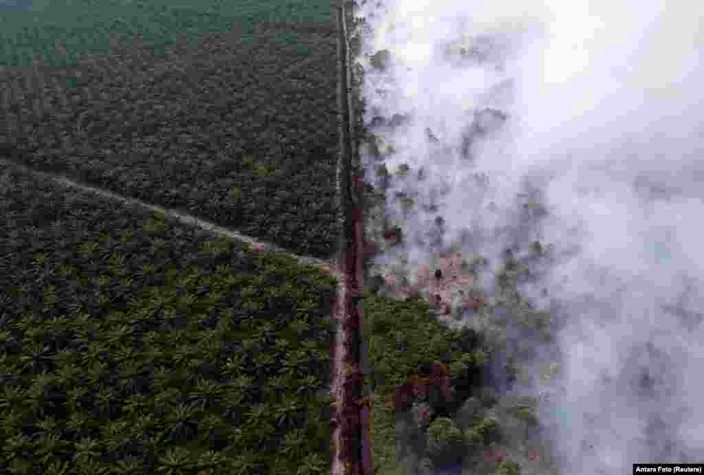 An aerial view of forest fire burning next to oil palm plantation at Kumpeh Ulu district in Muarojambi, Indonesia