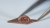Human coronavirus 229E on copper. (Credit: University of Southampton) 