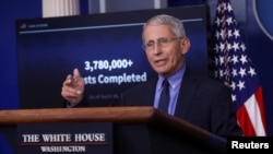 El científico Anthony Fauci se ha convertido en la máxima autoridad en el manejo de la pandemia del coronavirus.