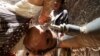 Nanotechnology Can Help Deliver Affordable, Clean Water
