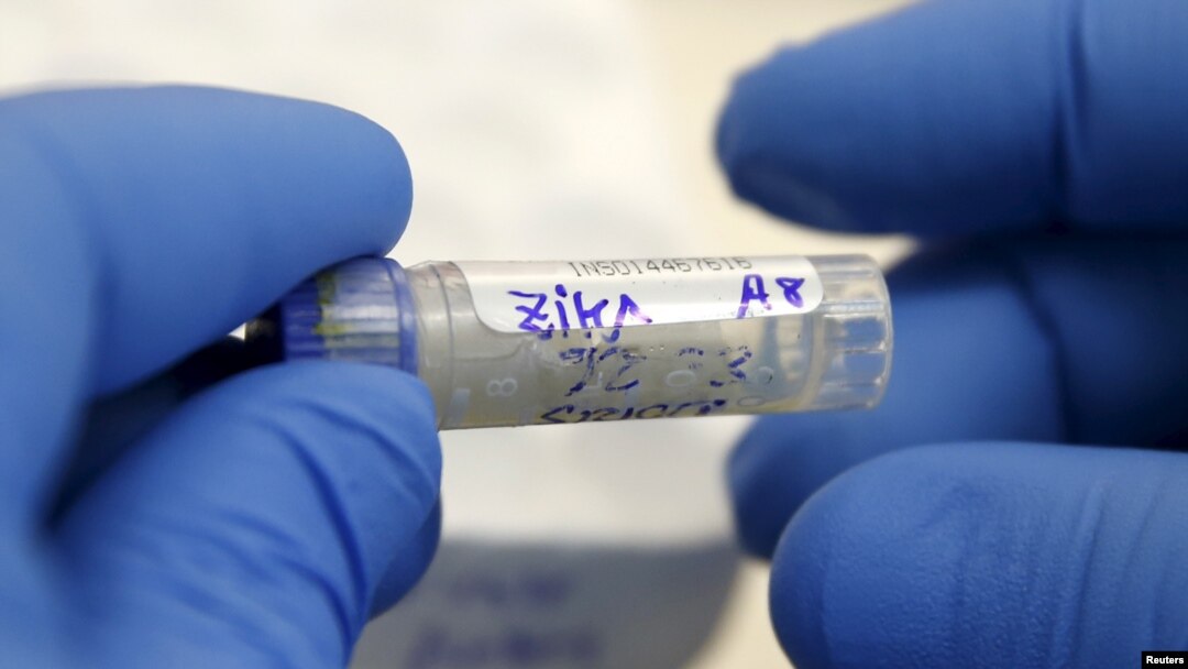 FILE - A health technician at the National Institute of Health in Lima, Peru, analyzes a blood sample from a patient bitten by a mosquito, Feb. 2, 2016.