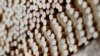 Higher Cigarette Taxes Associated with Lower Infant Death Rate