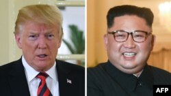 도널드 트럼프 미국 대통령과 김정은 북한 국무위원장. 