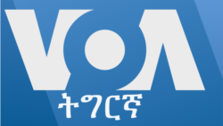 ፈነወ ትግርኛ ረቡዕ