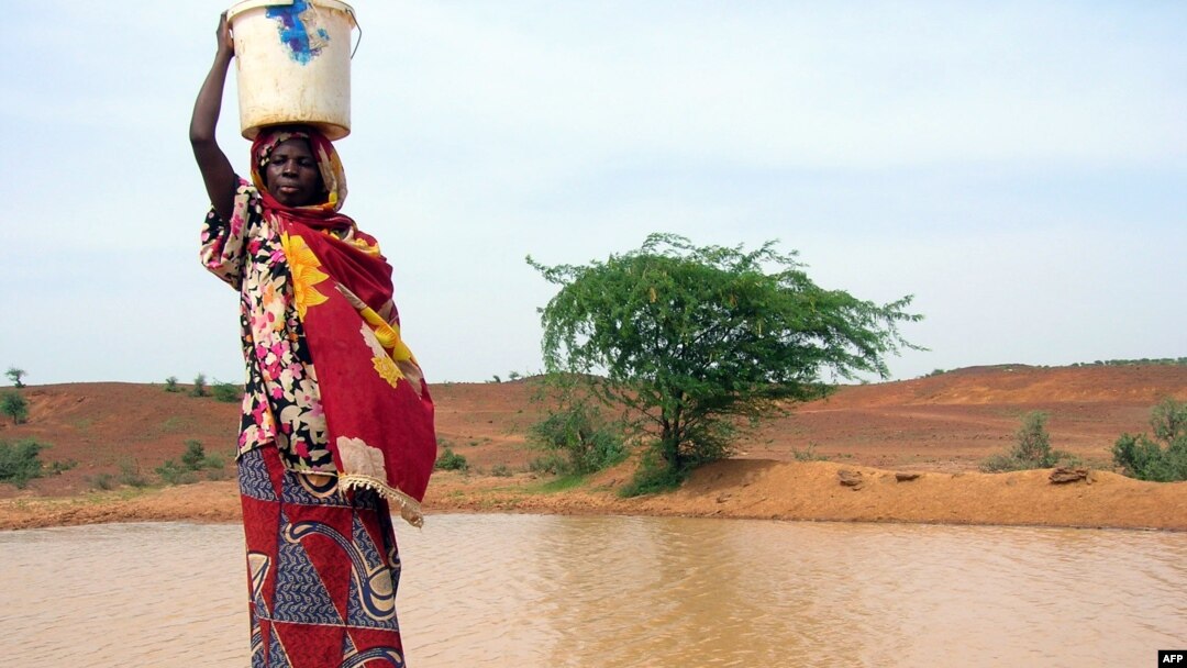A woman gets water from a pool infected with cholera in Gounfara, Niger, despite warnings from medical services, August 29, 2005.