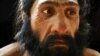 A model of an adult Neanderthal male head and shoulders by artist John Gurche on display in the Hall of Human Origins in the Smithsonian Museum of Natural History in Washington, D.C.