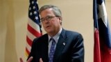 Jeb Bush 