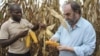 José Bettencourt, director da Fazenda Pedras Negras