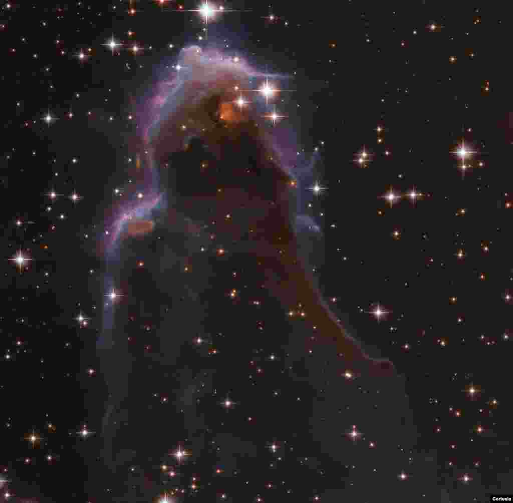 Sorprendentemente, dentro de esta burbuja de gas caliente alrededor de una estrella masiva cercana se encuentran los frEGG: glóbulos oscuros y compactos de polvo y gas, algunos de los cuales están dando a luz a estrellas de baja masa. [Foto: Cortesía NASA