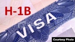 H-1B vizasi chet ellik "noyob mutaxassis" uchun beriladi