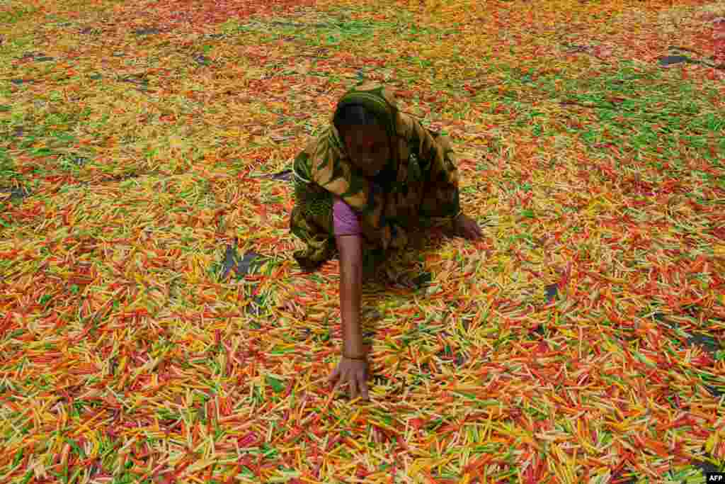 An Indian worker drys "fryums", a finger shaped food made from seasoned dough, on the outskirts of Agartala.