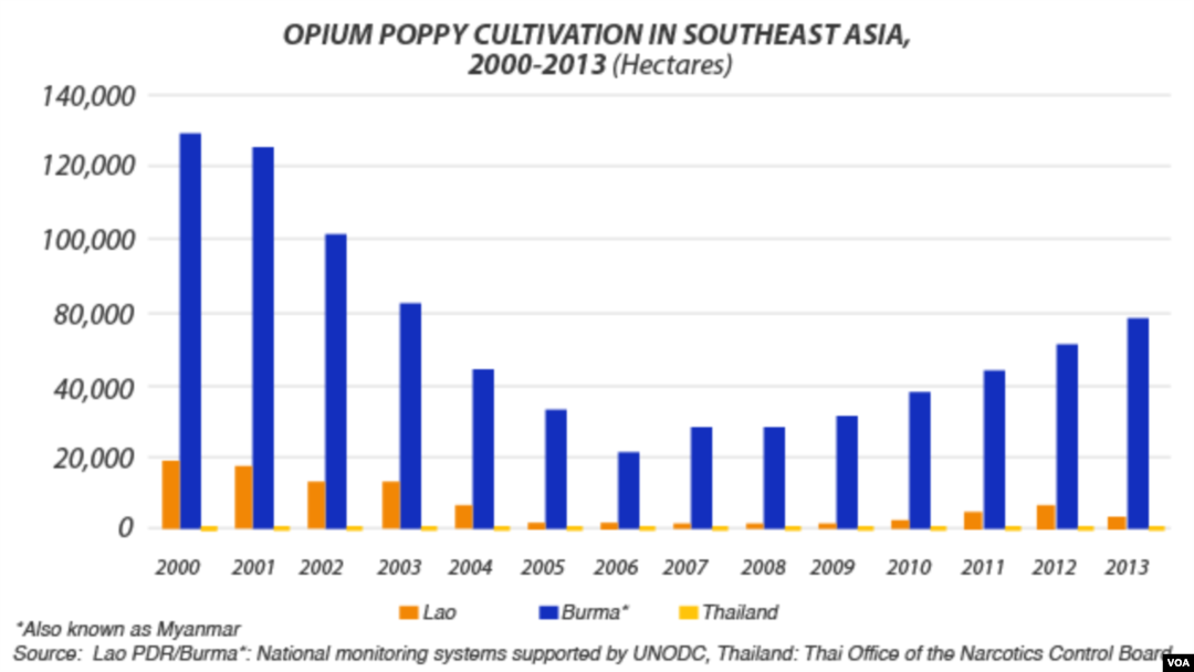 Cultivation of opium poppies in South East Asia