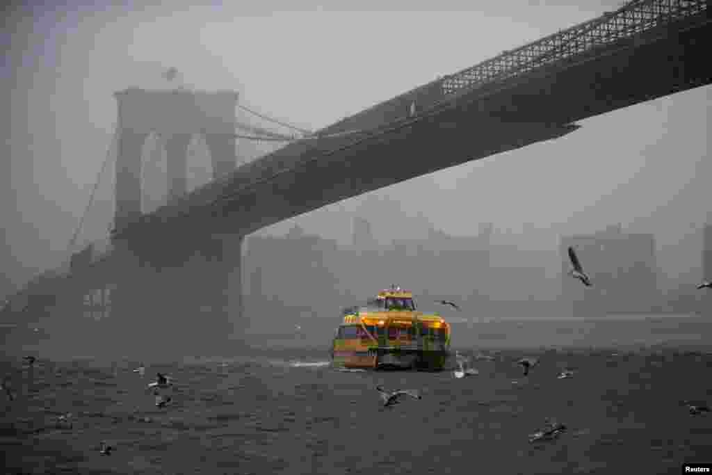 New York