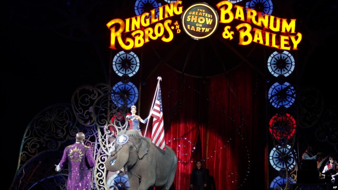 An Asian elephant performs during the national anthem for the final time in the Ringling Brothers and Barnum & Bailey Circus, May 1, 2016, in Providence, Rhode Island. The circus closes its own chapter on a controversial practice that has entertained audi