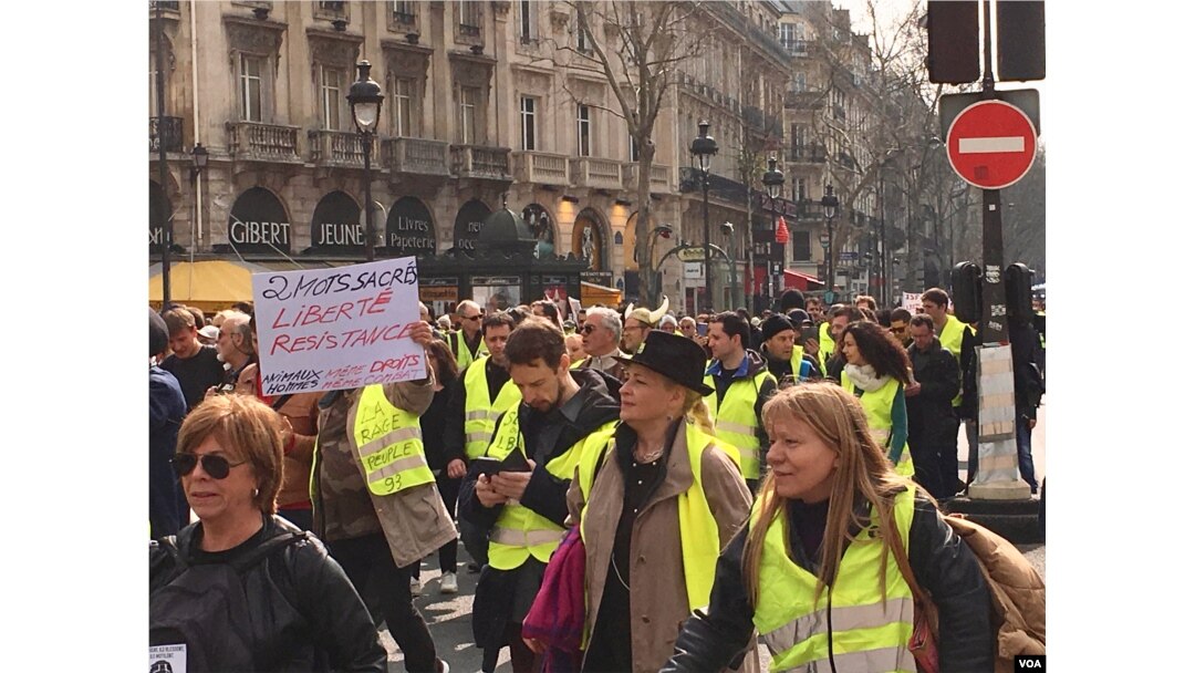 The 19th edition of the "yellow vest" protests in Paris was largely peaceful. (L. Bryant/VOA)