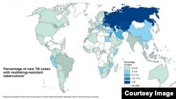 Percentage of new TB cases with multidrug-resistant tuberculosis