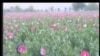 16x9 Image