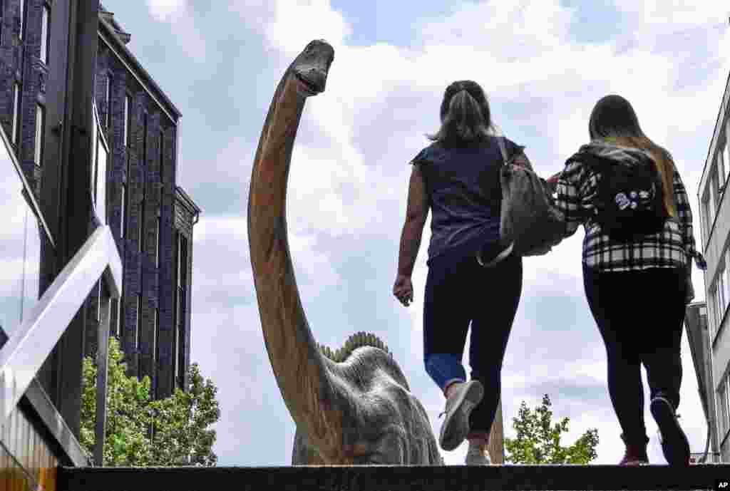 A life-size replica of a Diplodocus dinosaur watches people coming out of the subway in the city center of Bochum, Germany.