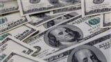 Investimentos em Portugal vão aumentar, afirma economista angolano