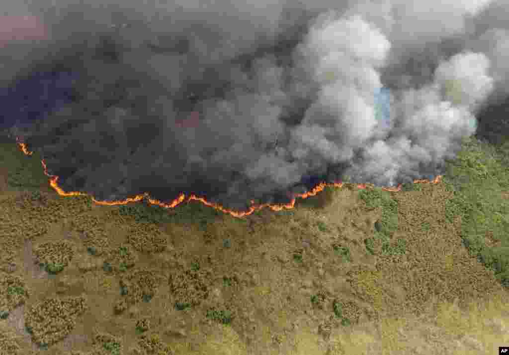 This photo distributed by Mexico’s Secretary of Ecology and the Environment (SEMA) in Quintana Roo state shows a fire burning in the Sian Ka'an nature reserve on the Yucatan peninsula, near Felipe Carrillo Puerto, Mexico.