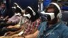  New Technology Aims to Change Movie-Watching