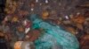 In this Wednesday, Nov. 6, 2019, image, plastic and other garbage floats in a collector of a new device that uses a curtain of tiny air bubbles to catch plastic floating in the capital's canals is seen in Amsterdam, Netherlands.