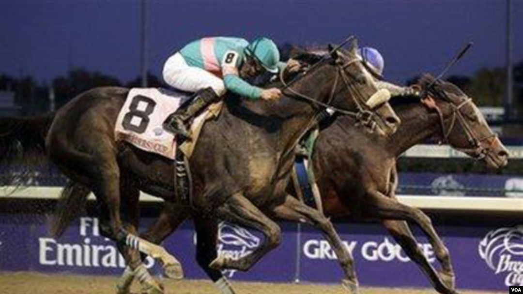 DDel lado interior Blame consigue contener la atropellada final de Zenyatta montada por Mike Smith, para ganar el Clasico Copa Criadores.