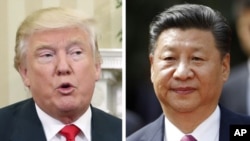 美國總統川普（左）和中國國家主席習近平（右）