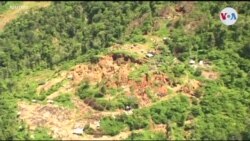 Venezuela: Masacre en comunidad indígena por el control del oro