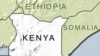 'Assassination' of Kenyan Gang Spokesman Condemned