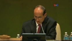 Presidentes se comprometen ante la ONU