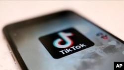 手機上的TikTok應用程序。