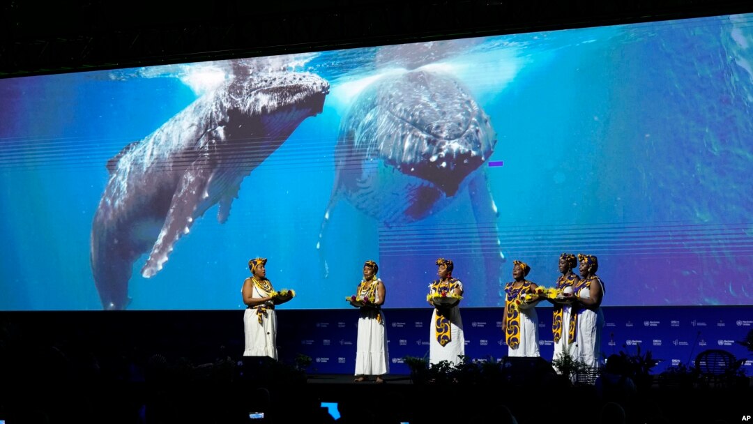 Afro-Colombian women perform during the opening ceremony of COP16, a United Nations' biodiversity conference, in Cali, Colombia, Oct. 20, 2024. 