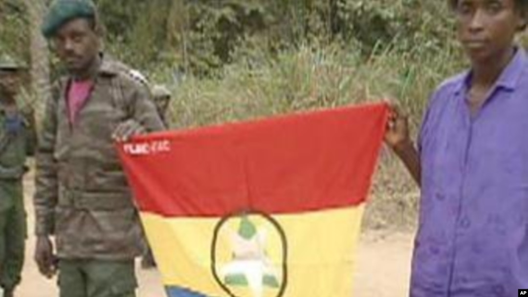 Rebeldes da FLEC-FAC mostrando a bandeira do movimento independentista