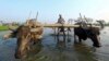 With 'On-the-Go' Loans and Tech, Social Firm Boosts Myanmar Farmers