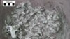 The remains of 25 dinosaurs were found in a single rock slab from northeastern China. (University of Pennsylvania)