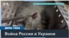 Массированная атака дронов на РФ: повреждены заводы в Брянске и в Рязани 