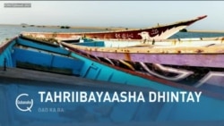 Qubanaha VOA