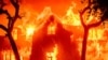 Uma casa é engolida pelas chamas durante o incêndio de Eaton na área de Altadena, no condado de Los Angeles, Califórnia, a 8 de janeiro de 2025. 
