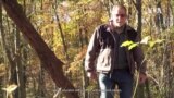 Forensic Forestry